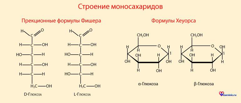 Общая характеристика моносахаридов