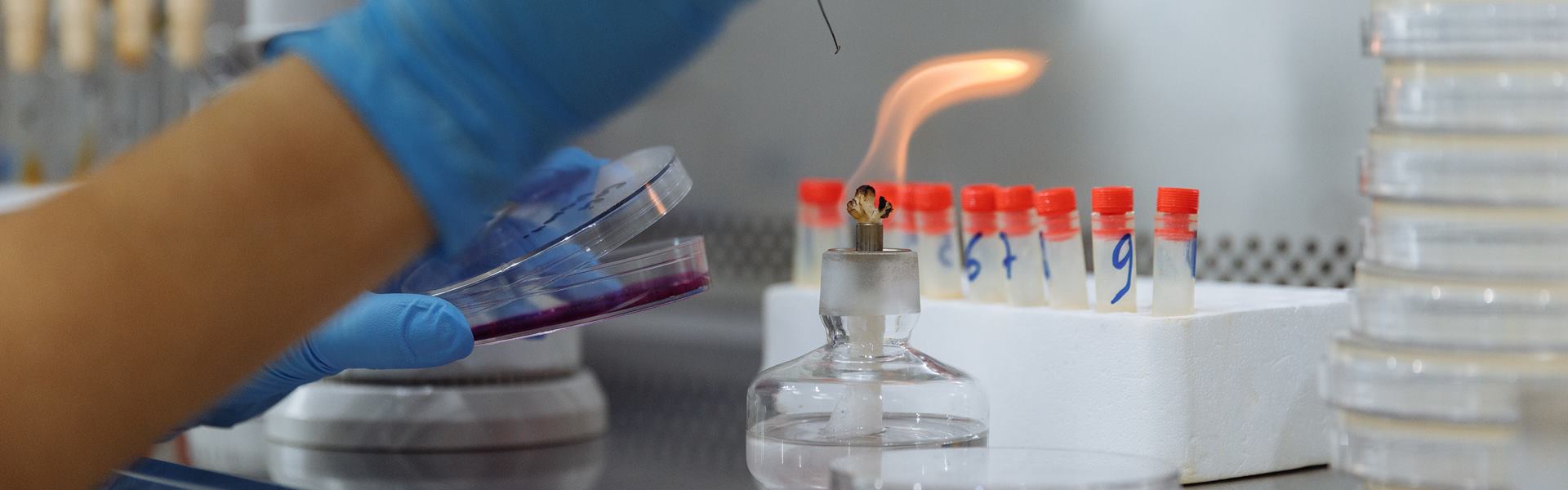 Пищевая добавка Е460 — микроцеллюлоза, есть ли польза, применение