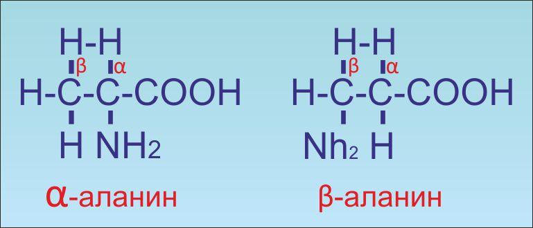 Описание аланина