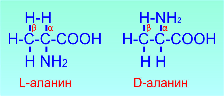 Описание аланина
