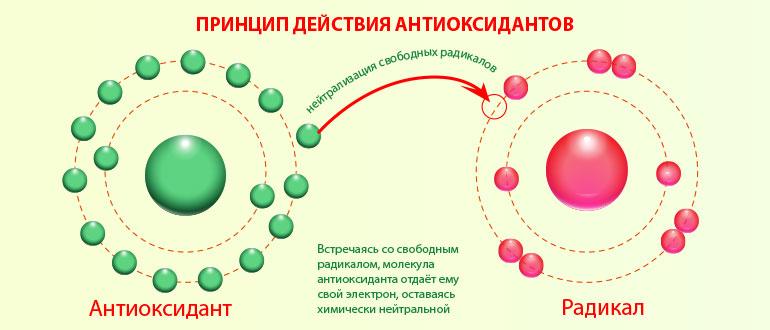 Что такое антиоксиданты, зачем они нужны, какие витамины и продукты содержат
