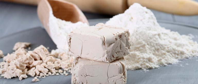 Хлебопекарные дрожжи