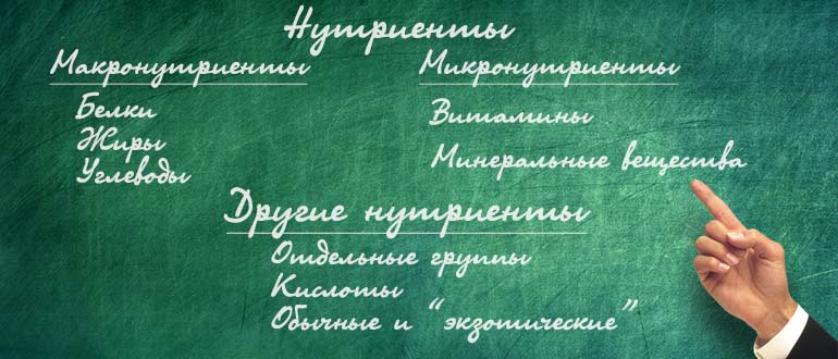 Группы нутриентов