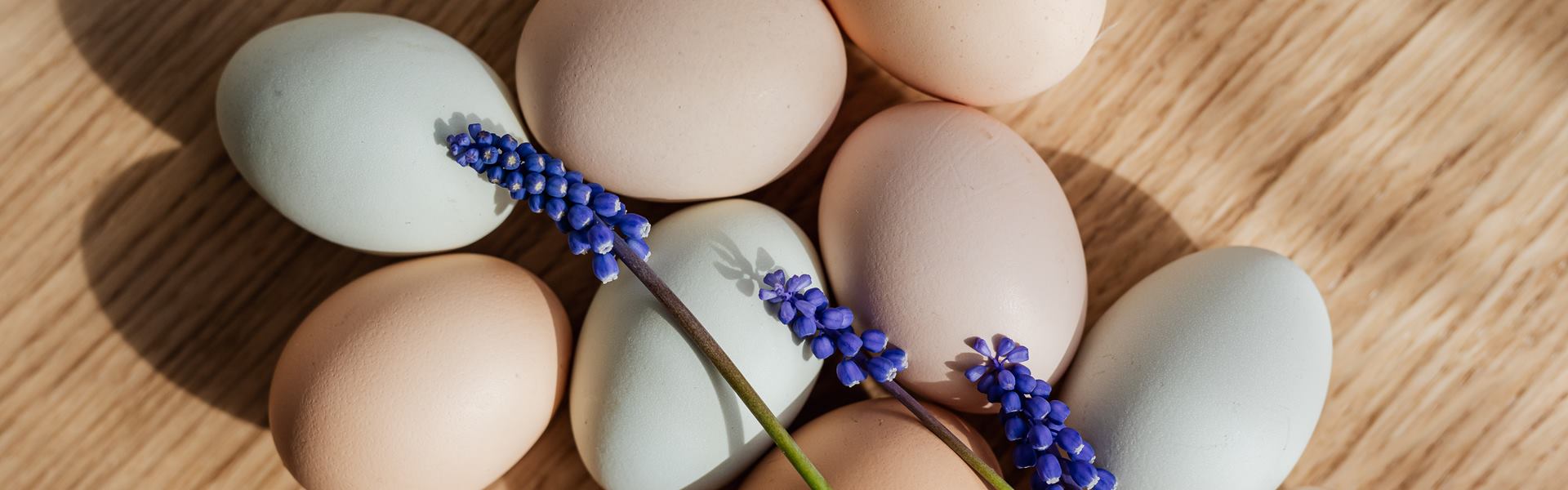 Что такое белок, виды, свойства, значение