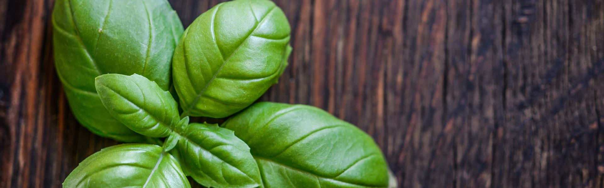 Витамин К1 (филлохинон), для чего нужен, где содержится