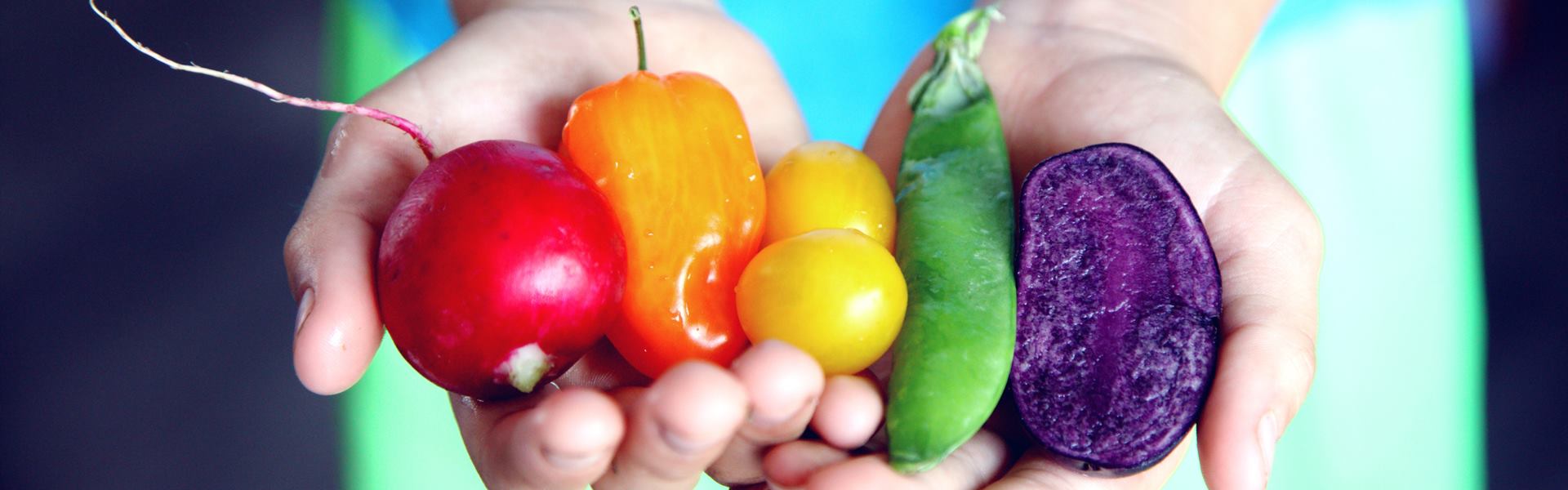 Продукты, содержащие цинк, польза для организма