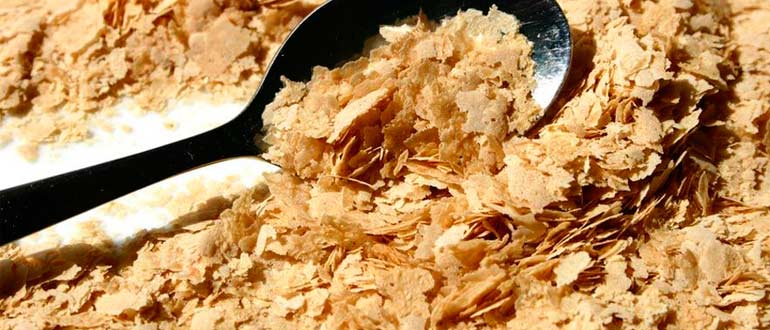 Пищевые дрожжи