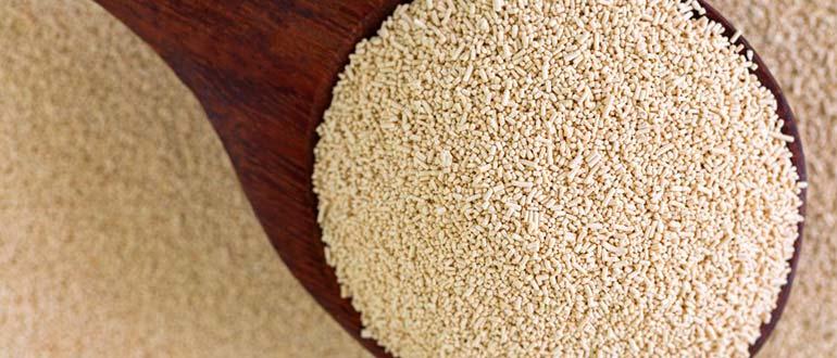 Пивные дрожжи и их польза