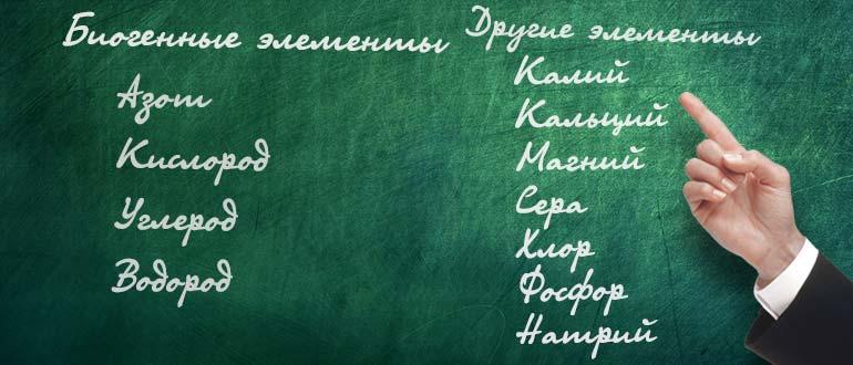 Классификация макроэлементов